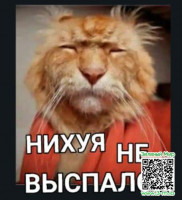 32cdd502af43cdcd6a7f1eb27da78afb.jpg