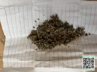 44d85feeda8f477d07b1511d17ee6a09.jpeg