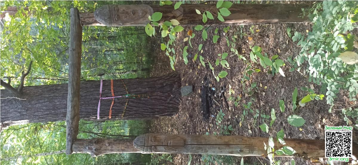 /upload/chat/11/25/64/4/1125644/7df4ec525b7cb676509d70205e6ba64b.jpg
